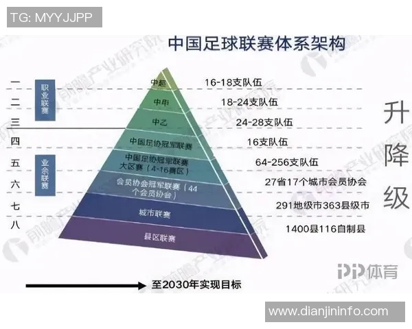 央视足球记者深度解析中国足球现状与未来发展方向